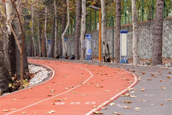 کفپوش تارتان آکسون